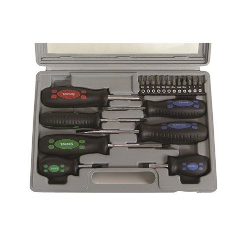 Screwdriver & Bit Set 19 Piece 