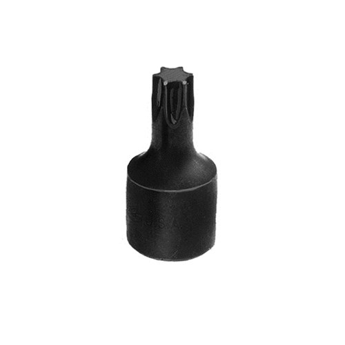 TORX Bit 3/8" Drive T50