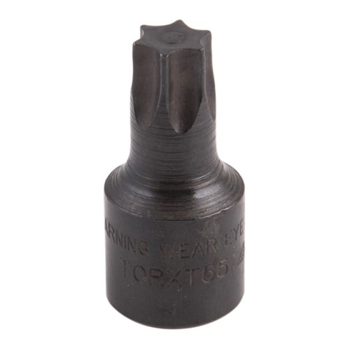 TORX Bit 3/8" Drive T55