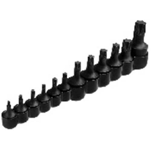 TORX Bit Set 12 Piece 