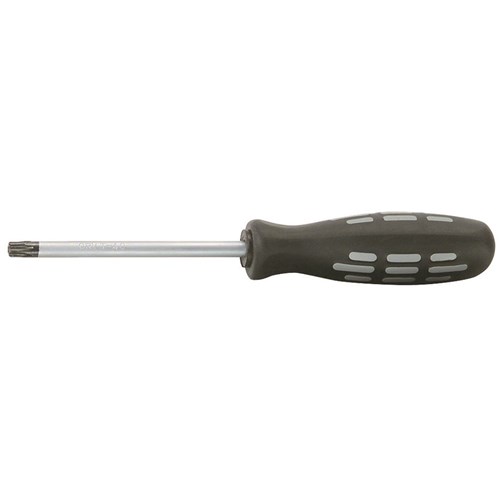 Screwdriver Tamperproof TORX TorqueMaster® T25