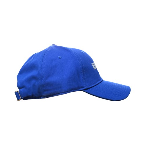 Curved Racing Hat Blue