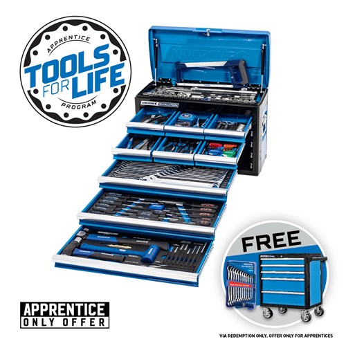 EVOLUTION Chest Tool Kit 225 Piece 9 Drawer 26"